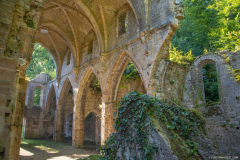 AbbayeTroisFontaines019