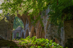 AbbayeTroisFontaines020