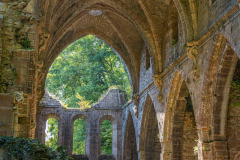 AbbayeTroisFontaines021