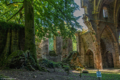 AbbayeTroisFontaines027
