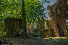AbbayeTroisFontaines029