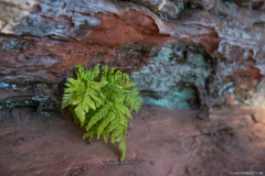 AltchlossfelsenHiver005