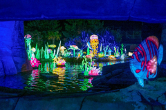 Luminescences000