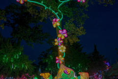 Luminescences001