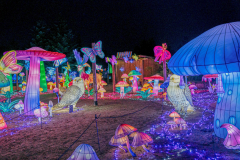 Luminescences002