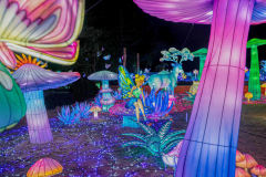 Luminescences003