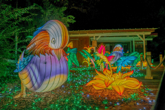 Luminescences005