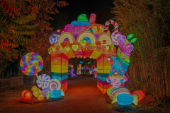 Luminescences007