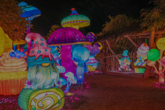 Luminescences008