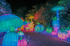 Luminescences009