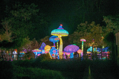Luminescences010