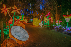 Luminescences012