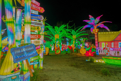 Luminescences014
