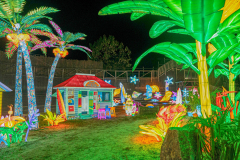 Luminescences016