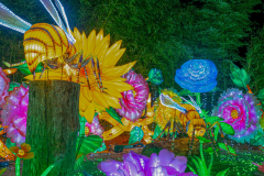 Luminescences018