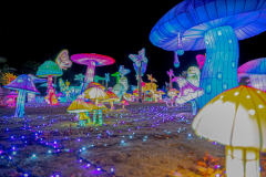 Luminescences019