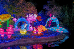 Luminescences022