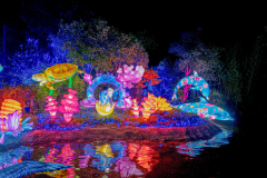 Luminescences023