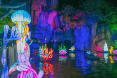 Luminescences024