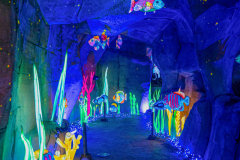 Luminescences025