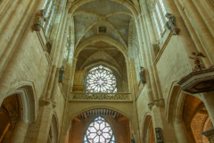 BasiliqueAvioth008