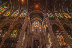 BasiliqueSaintEpvre015