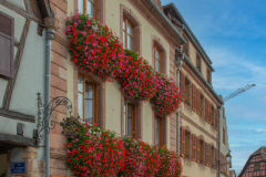 Bergheim012
