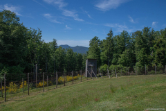 Struthof009