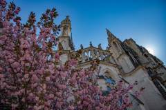 CathedraleReimsJour004