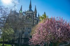 CathedraleReimsJour005