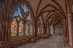 CathedraleSaintDieCloitre001