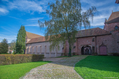 CathedraleSaintDieCloitre002