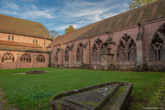 CathedraleSaintDieCloitre005