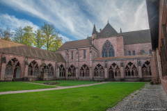 CathedraleSaintDieCloitre006