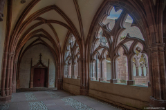 CathedraleSaintDieCloitre007