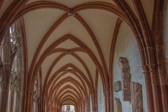 CathedraleSaintDieCloitre009