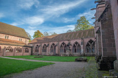 CathedraleSaintDieCloitre010