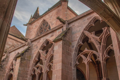 CathedraleSaintDieCloitre011