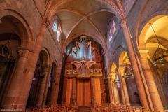 CathedraleSaintDieInterieur002