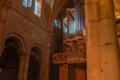 CathedraleSaintDieInterieur004