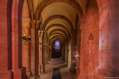 CathedraleSaintDieInterieur006