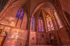 CathedraleSaintDieInterieur008