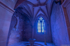 CathedraleSaintDieInterieur015