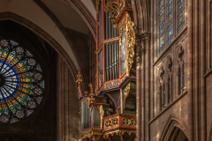 CathedraleStrasbourgInterieur008