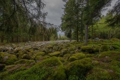 ChampDeRoches002