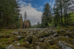 ChampDeRoches004