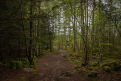 ChampDeRoches006