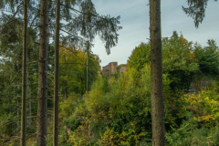 ChateauDreistein008
