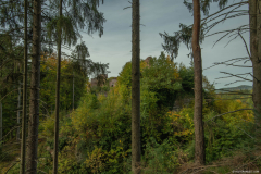 ChateauDreistein009