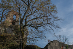 ChateaudeFerrette007